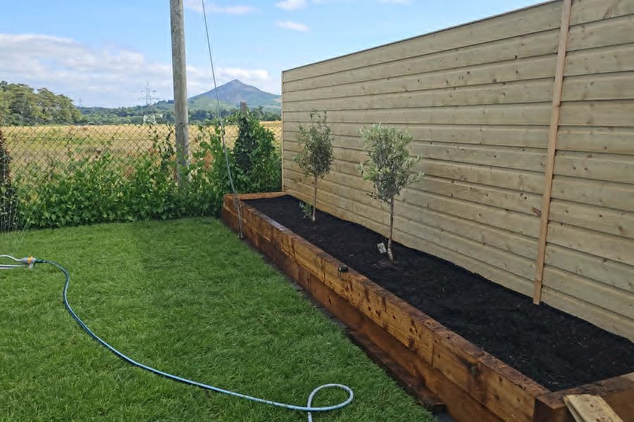 The finished raised sleeper bed against new fencing, planted with olive trees