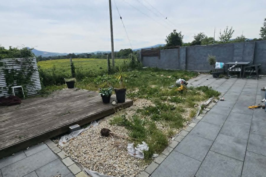 The garden before work: weedy gravel, tired decking and overgrown planting